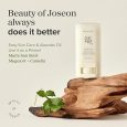 Beauty Of Joseon Matte Sun Stick Mugwort + Camelia Spf 50+ Pa+ 18 G