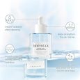 SKIN1004 Madagascar Centella Hyalu-Cica First Ampoule 100ml