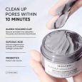 SKINTIFIC - Alaska Volcano Deep Pores Cleansing Clay Mask 55g